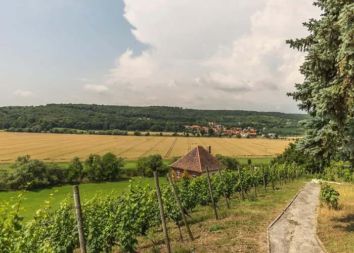 Ferienhaeuser Im Max-klinger Weinberg * Naumburg (Saale)